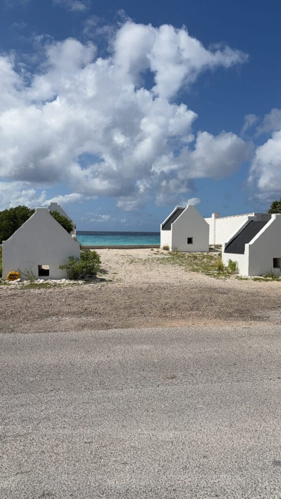 Beste reistijd Bonaire