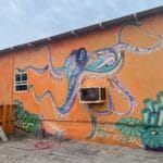Aruba wat te doen? 7 tips + mooiste plekken