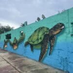 Beste reistijd Aruba: 5 tips + weer, temperatuur en seizoenen