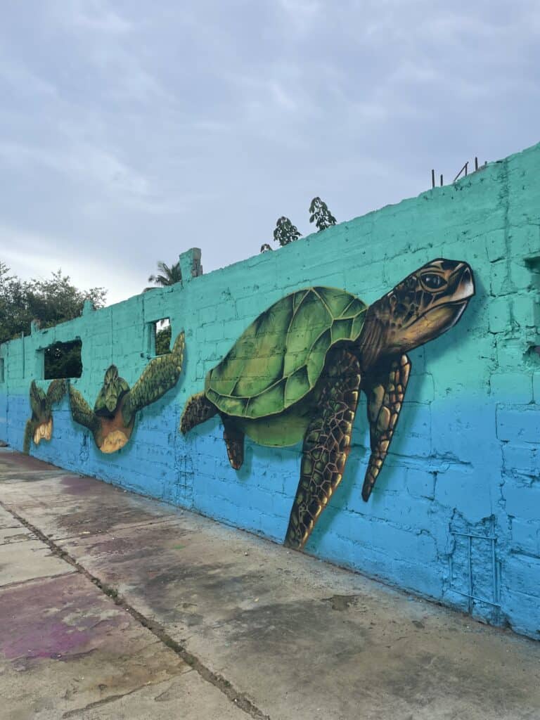 Beste reistijd Aruba